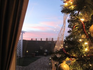 Not an Advent Wreath, but the glow of our Christmas tree with the glow of the sunset behind.