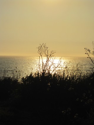 A symbiotic relationship exists between water and land. Genesis 1:6-10